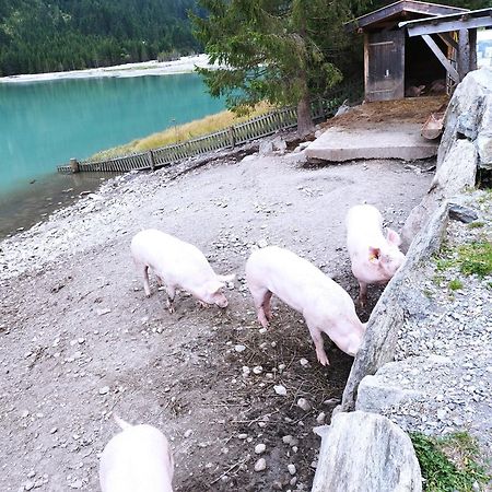 Apart Gerlossteinblick Aschau Im Zillertal Екстер'єр фото