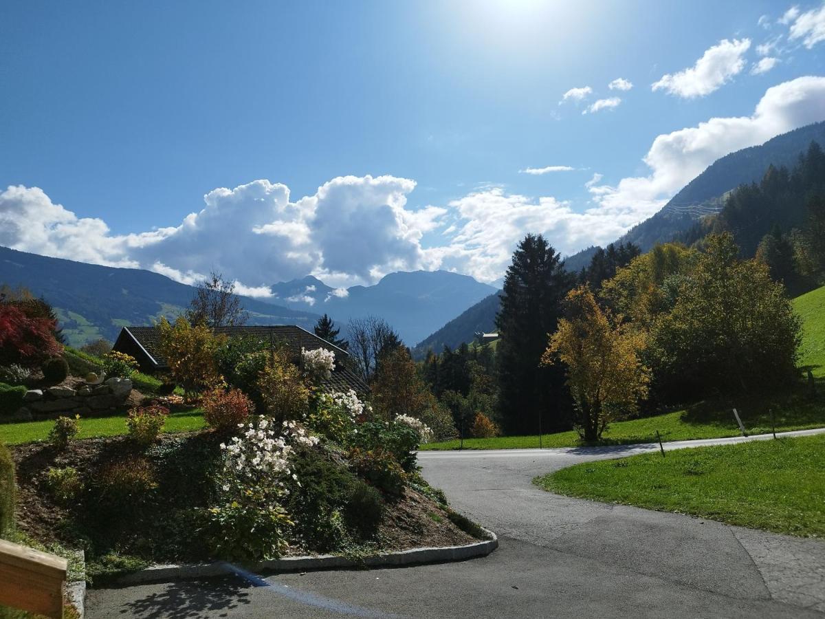 Apart Gerlossteinblick Aschau Im Zillertal Екстер'єр фото