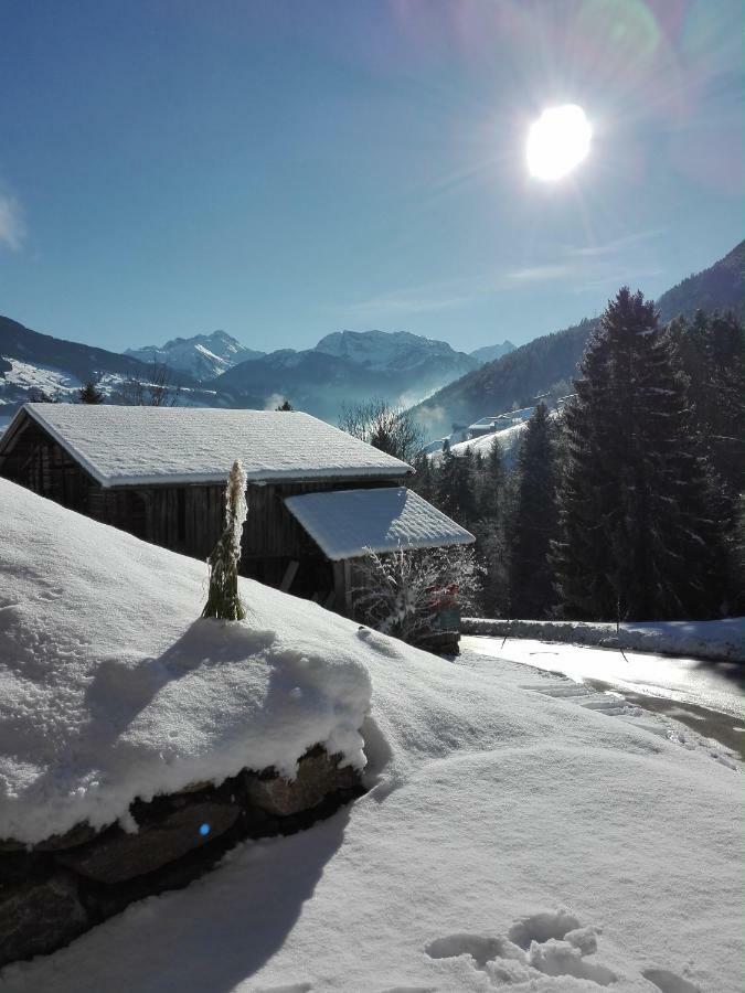 Apart Gerlossteinblick Aschau Im Zillertal Екстер'єр фото